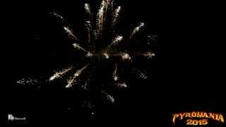 King Bird - 21 Gun Salute
