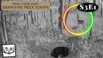 Make Your Own Grapevine Mock Scrape - Easy GVMS Setup