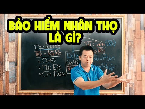 Bảo hiểm nhân thọ là gì? Nhân văn, Tiền, hay Lừa đảo? – Trần Việt MB