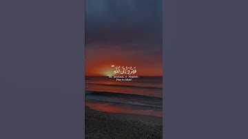 {فَفِرُّوا إِلَى اللهِ إنِّي لَكُمْ مِنْهُ نَذِيرٌ مبِينٌ} بصوت الشيخ ‎#أحمد_النفيس ‎#سورة_الذاريات