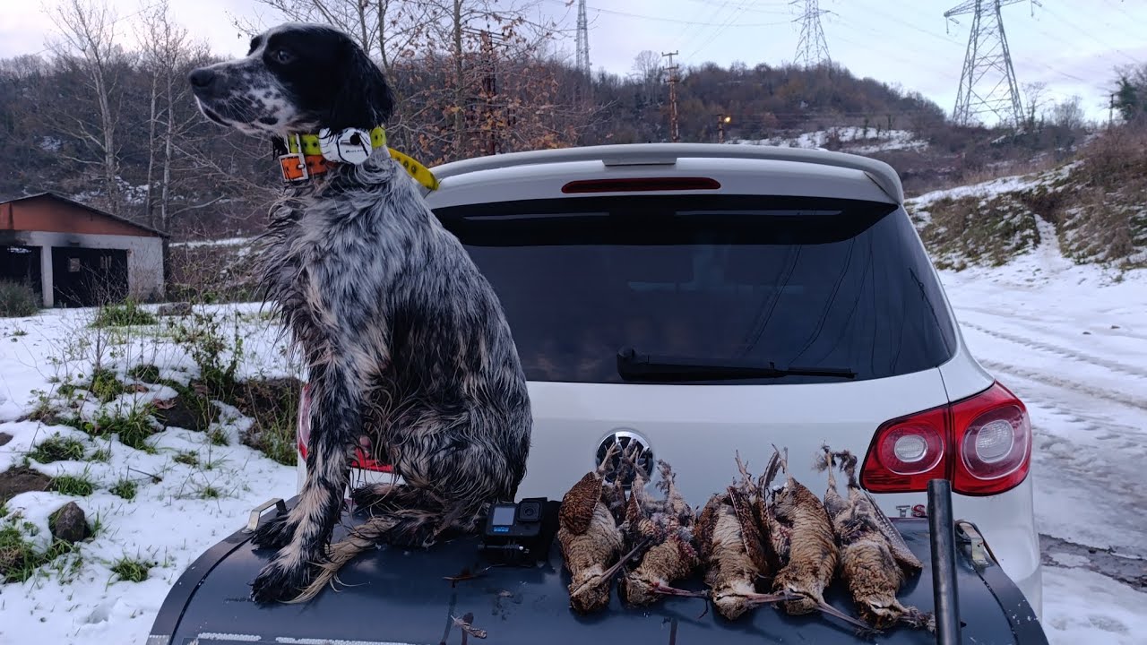  2025-2026 KARDA ÇULLUK AVI (ZONGULDAK) 