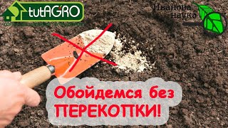 КАК РАСКИСЛИТЬ ПОЧВУ БЕЗ ПЕРЕКОПКИ и ПОЛИВА? Очень просто! В  два ПРОСТЫХ и ПРИВЫЧНЫХ действия!