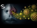 Fréquences De Guérison Pour Les Allergies Rife Seasonal Allergies Music Therapy mp3