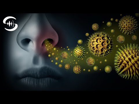 Video: Har pollen blitt verre?