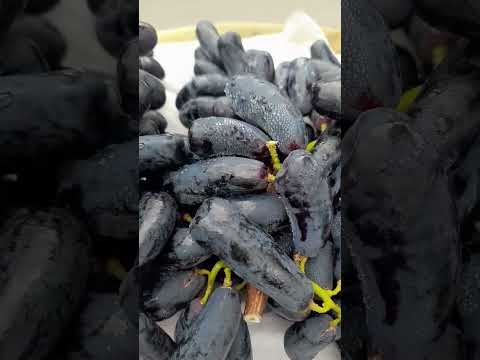 Video nho móng tay giá sỉ rẻ #shorts - youtube