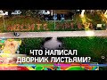 Дворник написал письмо листьями во дворе дома в Химках