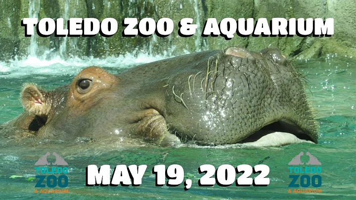 Toledo Zoo & Aquarium | May 13, 2022