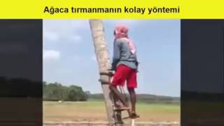 Ağaca Tırmanmanın Çok Kolay Yolu Ağaca Tırmanmanın Çok Kolay Yolu