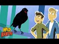 Wild Adventure Quiz
