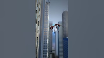 What Happens If You Drop an Ant from the Empire State Building?