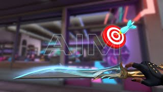 Aim ? (Valorant Montage)