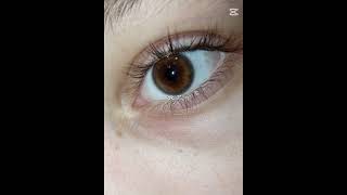 Ok.. Ibfelizalidibia