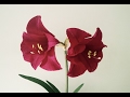 ABC TV | How To Make Amaryllis Paper Flower From Crepe Paper - Craft Tutorial