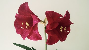 ABC TV | How To Make Amaryllis Paper Flower From Crepe Paper - Craft Tutorial