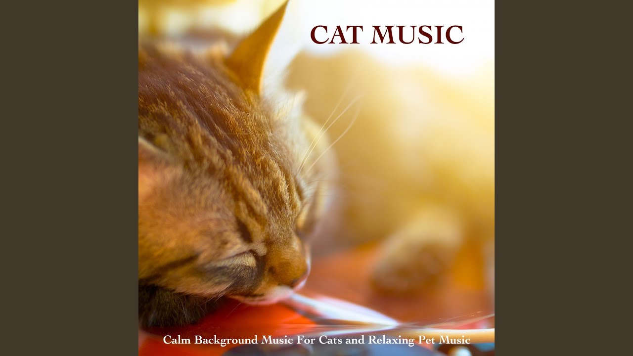 Music For Cat Sleeping - YouTube