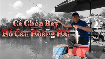 Câu Đài | Câu Rơi cá Chép hồ Hoàng Hải cùng mồi câu Khó Chịu