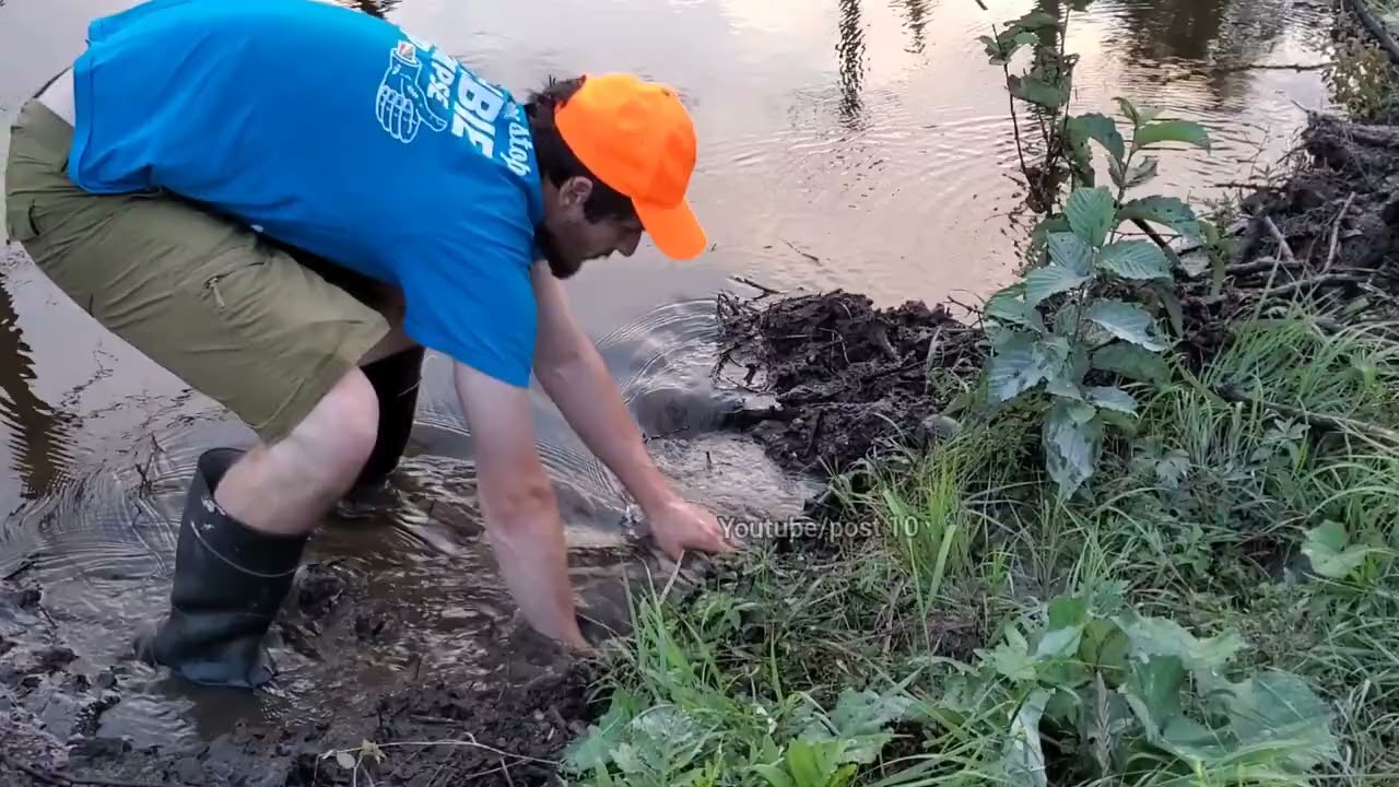 Angry Beaver Watches Me Unclog Drain