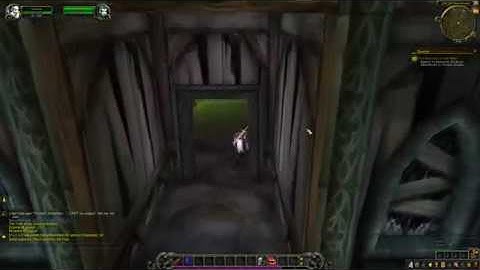 The Executor in the Field