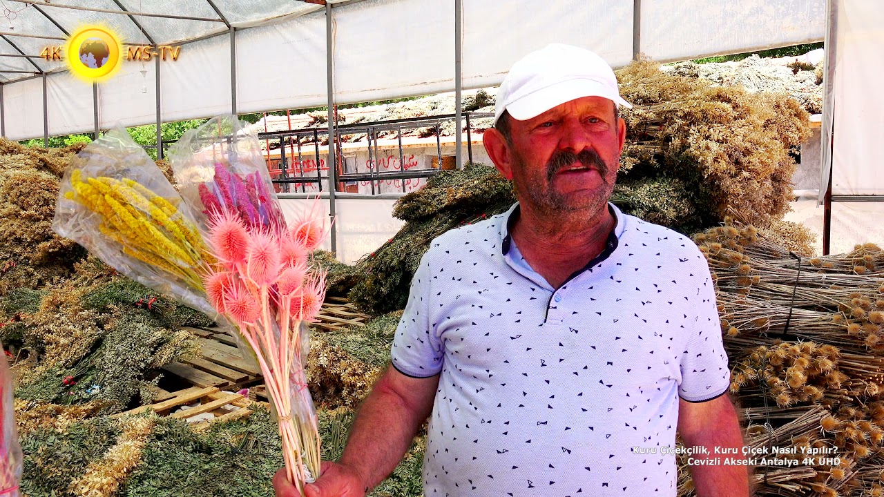 Kuru Çiçekçilik, Tam Doğal Kuru Çiçek Nasıl Yapılır? Cevizli Akseki Antalya 4K UHD
