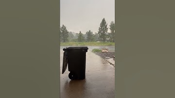 TRASH CAN TIP WHEN THE FORECAST CALLS FOR RAIN
