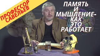 Профессор Савельев -  мышление и память