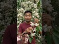 white jamun ki kheti #agrifuture #agriculture #youtubeshorts #treanding