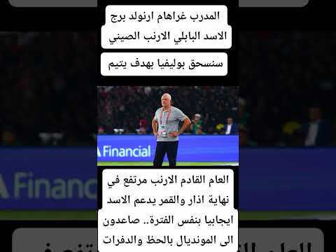 صاعدون الى كأس العالم 2026