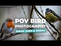 POV Bird Photography | Nikon D500 | Nikkor 300mm F4 Lens
