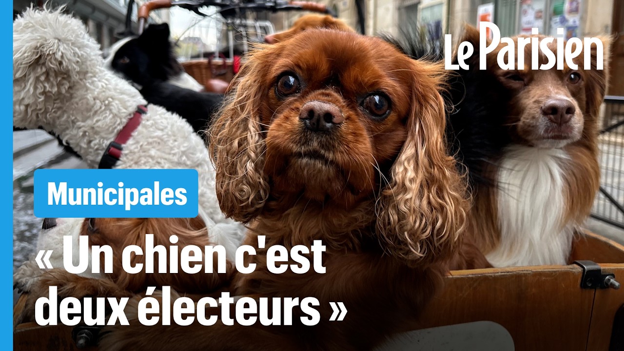 La place du chien, le sujet qui divise les Parisiens depuis 40 ans