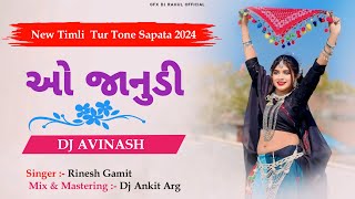 O JANUDI NEW TIMLI SONG 2024 TUR TONE SAPATA DJAVINASH DJANKIT ARG