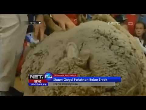 Video Proses Pembuatan Kain Wool Doovi Video Proses Pembuatan Kain Wool Doovi