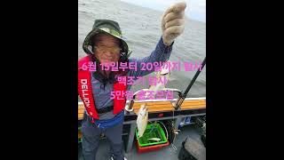 홍원항 조커호 백조기낚시 탐사출조모집중   #백조기낚시 #쭈꾸미낚시#홍원항갑오징어낚시   #홍원항주꾸미낚시 #홍원항백조기낚시 #홍원항광어낚시 #다운샷 #홍원항조커호#조커호#타이라바