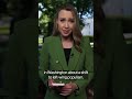 Mamdani's Picks Sweep NYC Primary Races