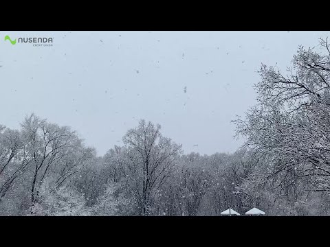 Snowfall in Mescalero