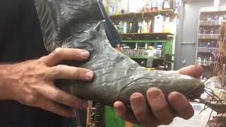 tony lama boots elephant skin