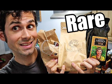 COFFEE Comparison: Three Species Side by Side (Arabica, Robusta & Liberica) - Weird Fruit Explorer