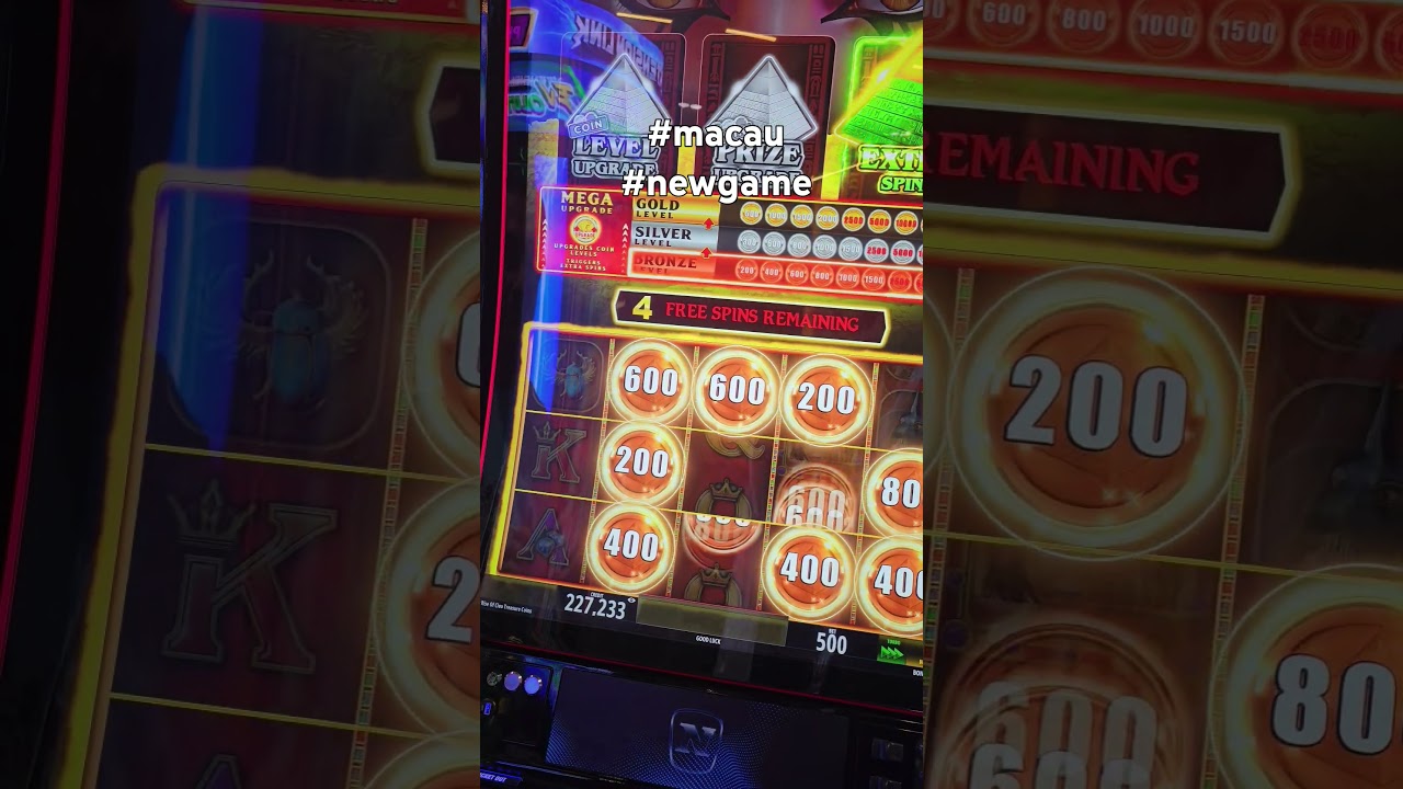 8x bet is Novomatic New Game slot slotscasinogames casino gamblingschool jackpot major new shorts