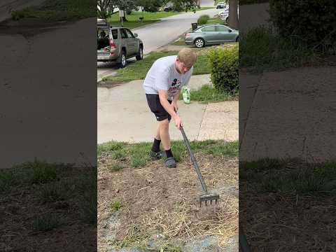 My hardworking Landscaper