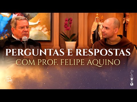 Vídeo: Análise: O Incrível Maurice e Seus Roedores Educados