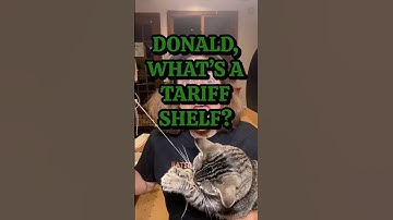 Donald’s “Tariff Shelf” Mystery #Comedy #Satire #PaulaPoundstone #TrumpJokes #PoliticalHumor #stitch