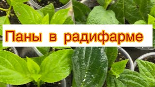 Результаты эксперимента 17.03.24