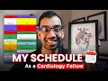 My entire schedule as a cardiologist