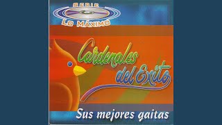 Video thumbnail of "Cardenales del Exito - Negrita Cumba Cumba"