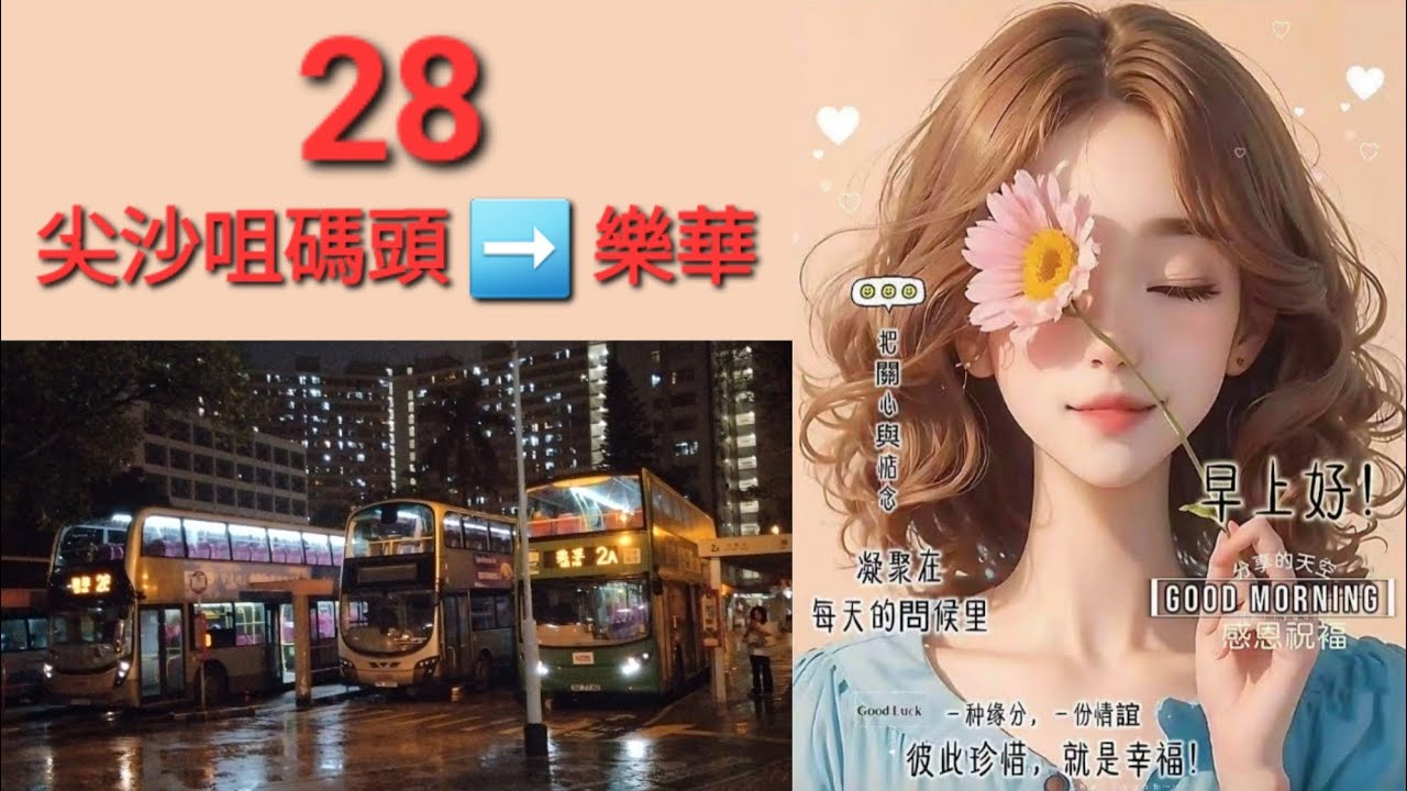 Hong Kong Bus KMB ATENU835 @ 28 九龍巴士 Alexander Dennis Enviro500 MMC New Facelift 尖沙咀碼頭 樂華