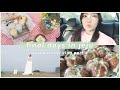 [한글/ENG] trip to jeju island 🌴 final episode | 제주여행 5탄 | KOREA VLOG | 한국 브이로그