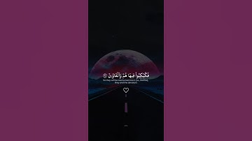 اكتب شيء تؤجر عليه 😴🩶 القارئ ياسر الدوسري | قران كريم