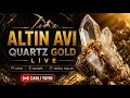 LIVE Gold Hunting in Quartz! Real Treasure Found? #kuvars #quartz