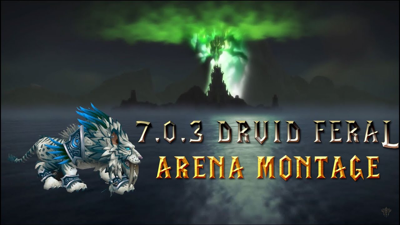 [7.0.3WOW] Druid Feral/ Dh Havoc Pvp Arenas 2v2