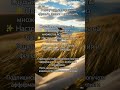 Я магнит для денег | Притягиваю изобилие и богатство легко #духовноепробуждение