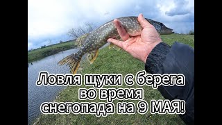 ЛОВЛЯ ЩУКИ С БЕРЕГА ВО ВРЕМЯ СНЕГОПАДА НА 9 МАЯ!